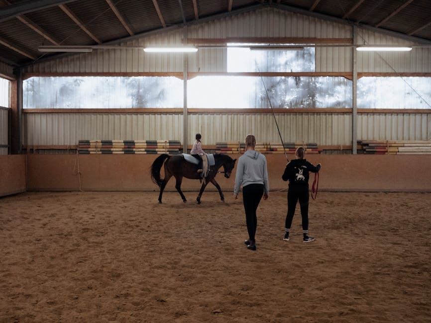 Kaltblüter kaufen: Die perfekten Freizeit- und Kutschenpferde 🐴